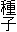 種子