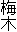 梅木