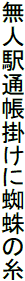 トンガ