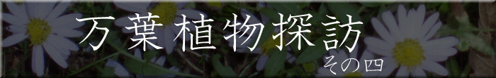 万葉植物探訪 その四