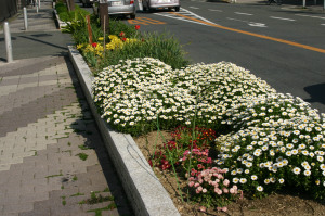 花壇